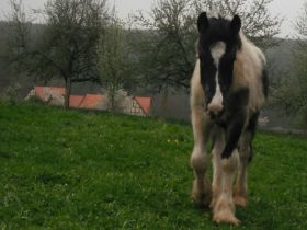 DSCF5952.JPG