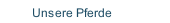Unsere Pferde